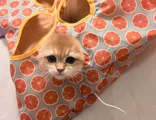 Doubles as a Bed—Who Knew?