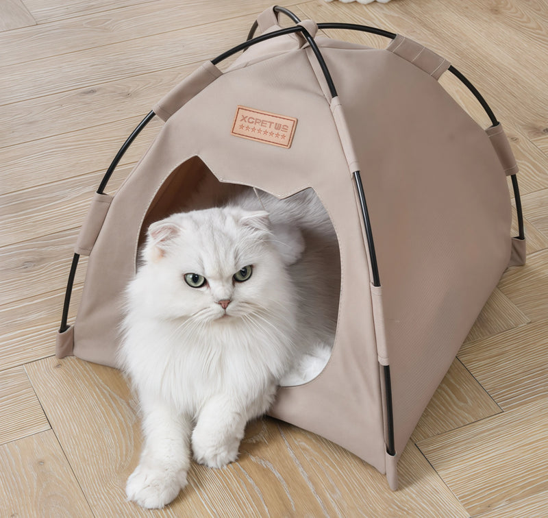 Cats Are Obsessed with This Little Tent!