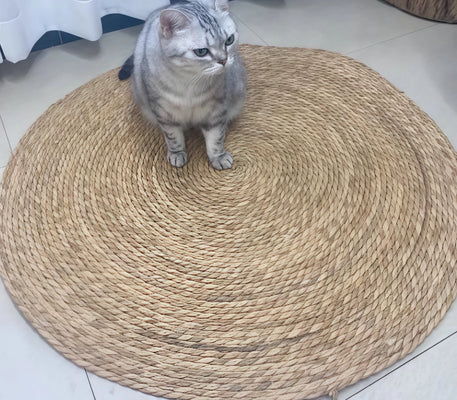 Finally, a Scratcher My Cat Actually Uses!