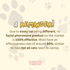 Zen Cat Patch - MaoMao - Paws