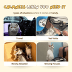 Zen Cat Patch - MaoMao - Paws