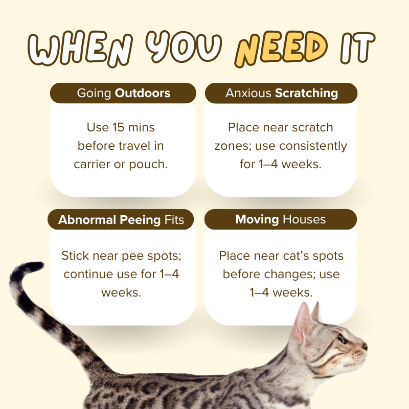 Zen Cat Patch - MaoMao - Paws