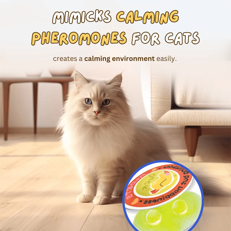 Zen Cat Patch - MaoMao - Paws