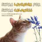 Zen Cat Patch - MaoMao - Paws