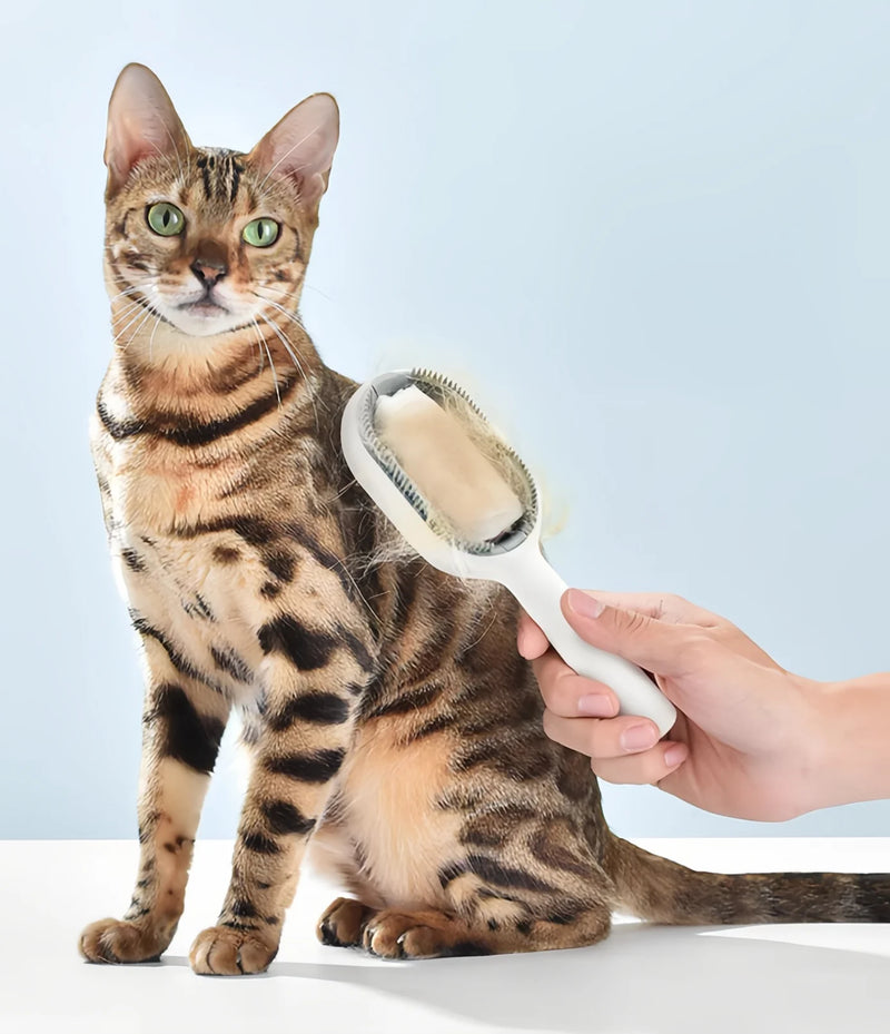 All-in-One Brushing & Cleaning Is Amazing!