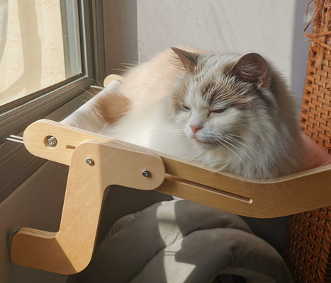 Sturdy, Comfy, and Luna Loves It!