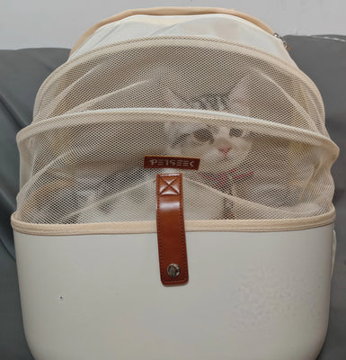 Kitty Approved—Super Practical!